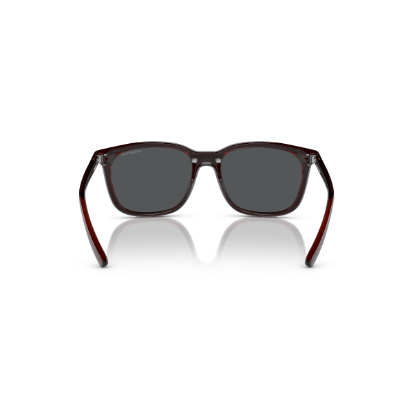 AN 4316 288055 51 Arnette C'ROLL Güneş Gözlüğü