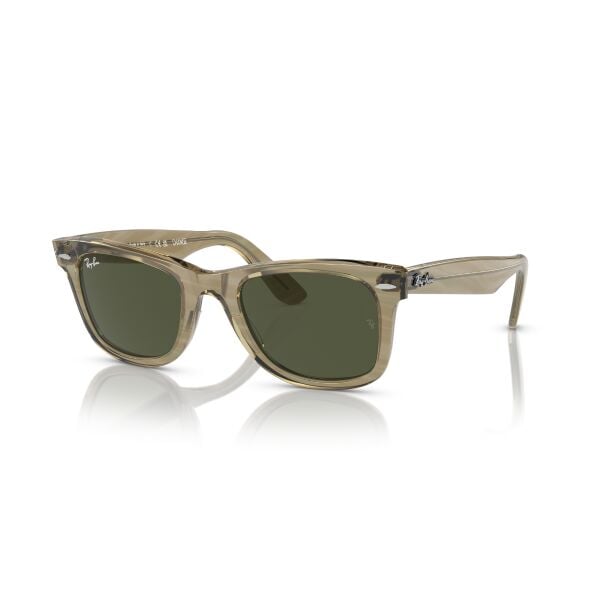 RB 2140 138731 50 Ray-Ban WAYFARER Change Güneş Gözlüğü