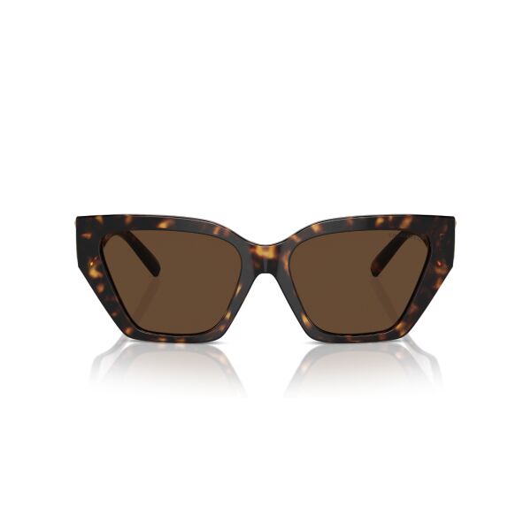 TF 4218 80153G 55 Tiffany & Co Güneş Gözlüğü