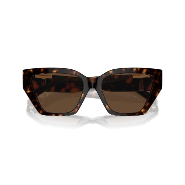 TF 4218 80153G 55 Tiffany & Co Güneş Gözlüğü