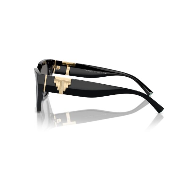 TF 4218 800181 55 Tiffany & Co Güneş Polarize Gözlüğü