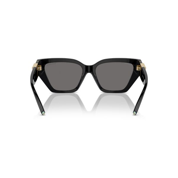 TF 4218 800181 55 Tiffany & Co Güneş Polarize Gözlüğü
