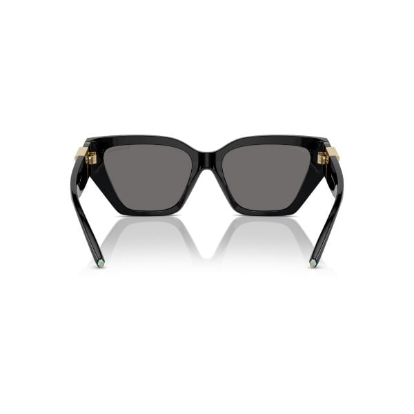 TF 4218 800181 55 Tiffany & Co Güneş Polarize Gözlüğü