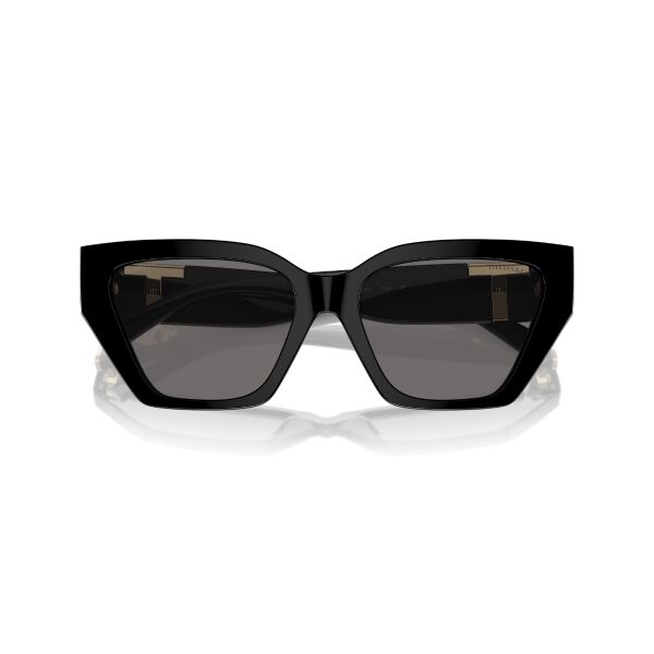 TF 4218 800181 55 Tiffany & Co. Polarize Güneş Gözlüğü