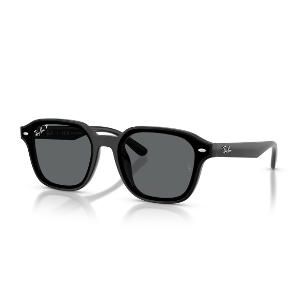 RB 4458D 601/81 65 Ray-Ban Polarize Güneş Gözlüğü