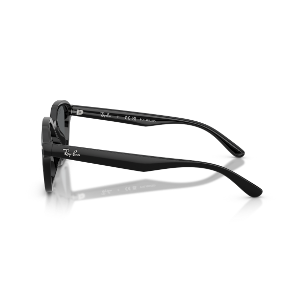 RB 4458D 601/81 65 Ray-Ban Polarize Güneş Gözlüğü