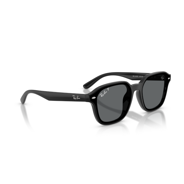 RB 4458D 601/81 65 Ray-Ban Polarize Güneş Gözlüğü