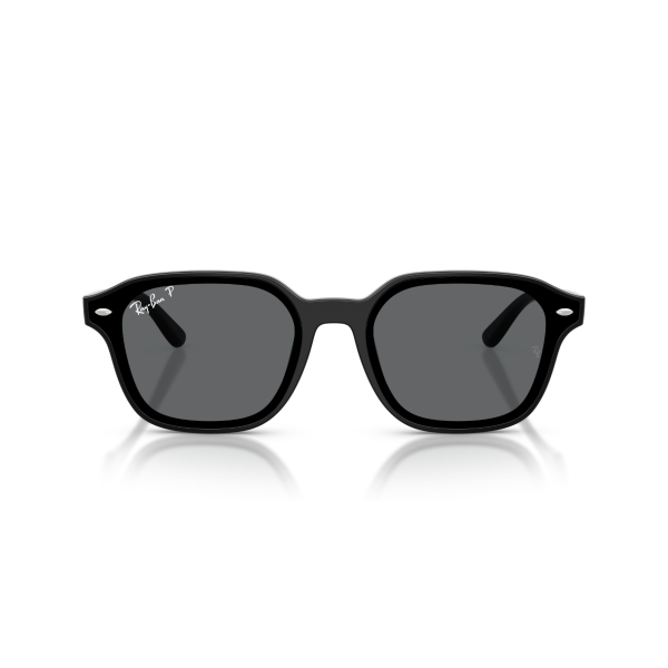 RB 4458D 601/81 65 Ray-Ban Polarize Güneş Gözlüğü