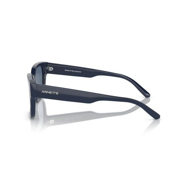 AN 4294 122180 54 Arnette TYPE Z Güneş Gözlüğü