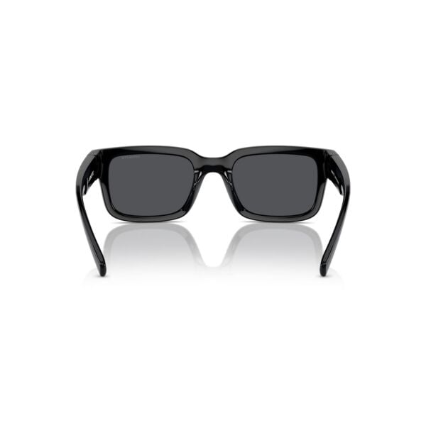 AN 4343 295487 52 Arnette Bigflip Güneş Gözlüğü