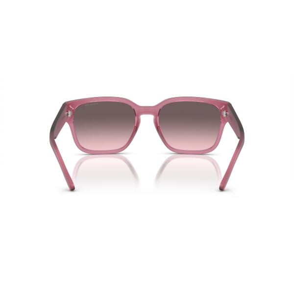 AN 4325 2907H9 54 Arnette HAMIE Güneş Gözlüğü