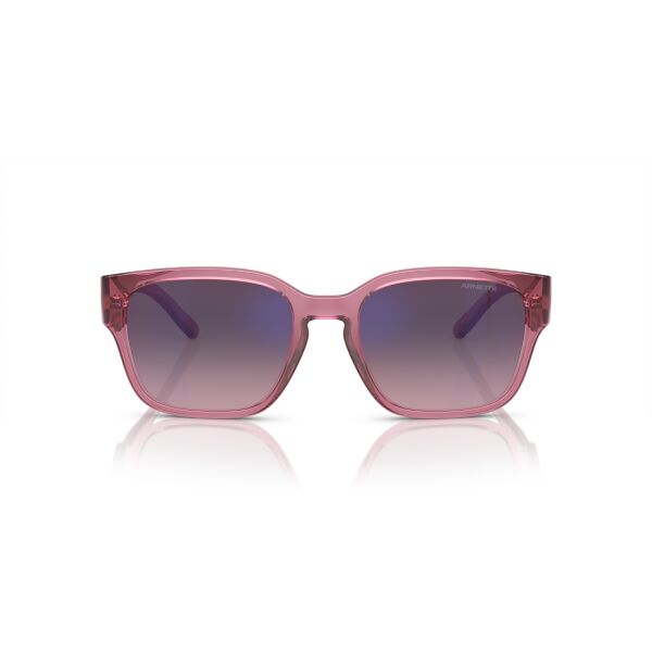 AN 4325 2907H9 54 Arnette HAMIE Güneş Gözlüğü