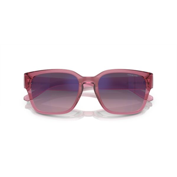 AN 4325 2907H9 54 Arnette HAMIE Güneş Gözlüğü