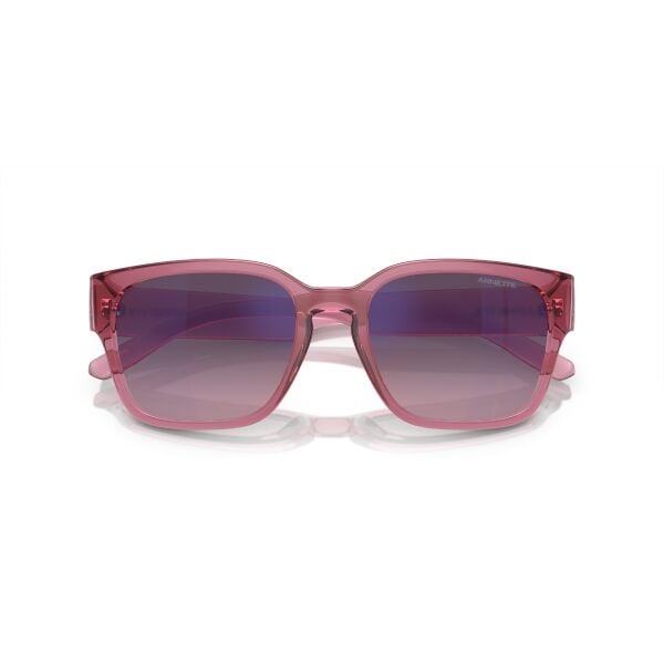 AN 4325 2907H9 54 Arnette HAMIE Güneş Gözlüğü