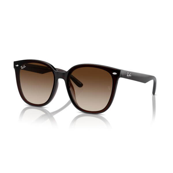 RB 4423D 714/13 66 Ray-Ban Güneş Gözlüğü