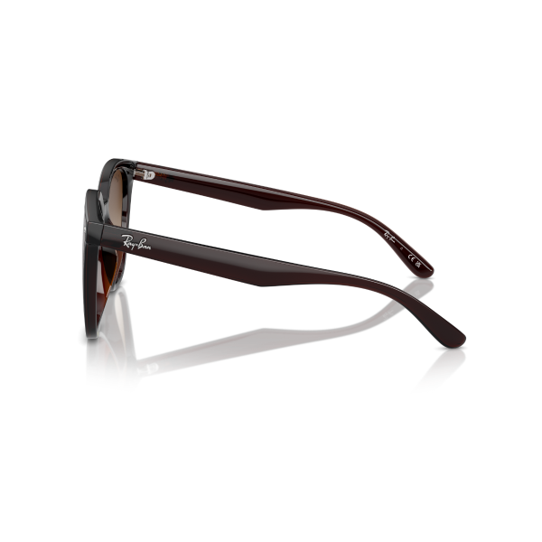 RB 4423D 714/13 66 Ray-Ban Güneş Gözlüğü