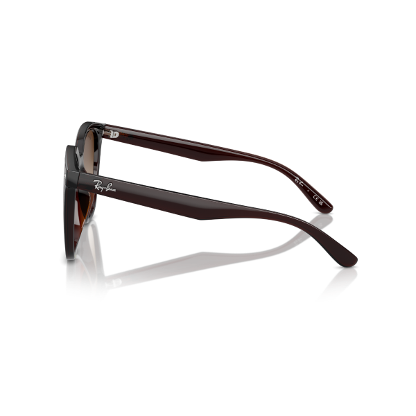 RB 4423D 714/13 66 Ray-Ban Güneş Gözlüğü