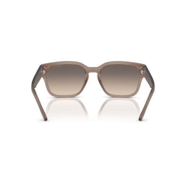 AN 4325 290613 54 Arnette HAMIE Güneş Gözlüğü