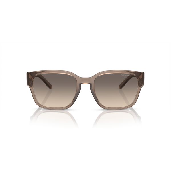 AN 4325 290613 54 Arnette HAMIE Güneş Gözlüğü