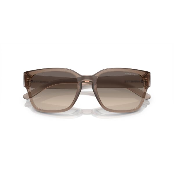 AN 4325 290613 54 Arnette HAMIE Güneş Gözlüğü