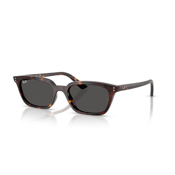 RB 4456 135987 50 Ray-Ban ZAYA Güneş Gözlüğü
