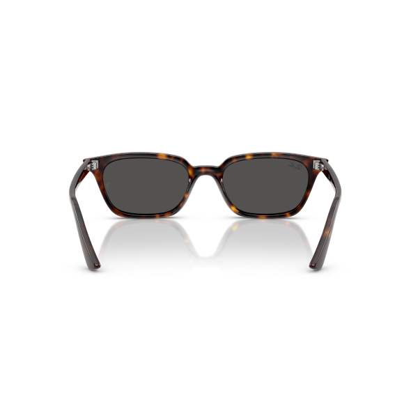 RB 4456 135987 50 Ray-Ban ZAYA Güneş Gözlüğü