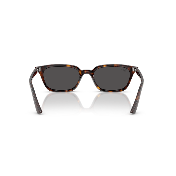 RB 4456 135987 50 Ray-Ban ZAYA Güneş Gözlüğü