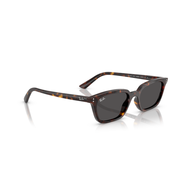 RB 4456 135987 50 Ray-Ban ZAYA Güneş Gözlüğü