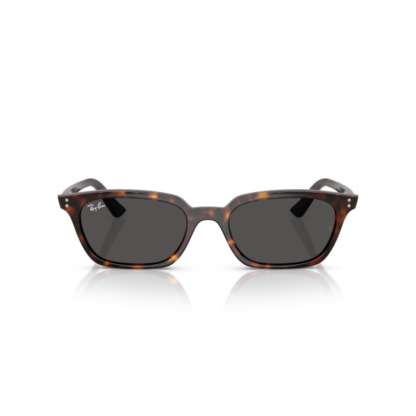 RB 4456 135987 50 Ray-Ban ZAYA Güneş Gözlüğü