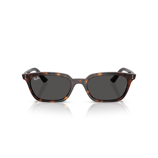 RB 4456 135987 50 Ray-Ban ZAYA Güneş Gözlüğü