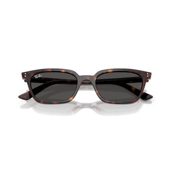 RB 4456 135987 50 Ray-Ban ZAYA Güneş Gözlüğü