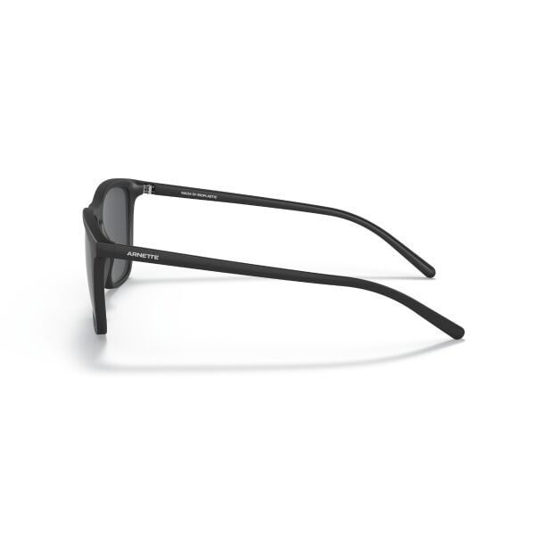 AN 4301 275887 55 Arnette FRY Güneş Gözlüğü