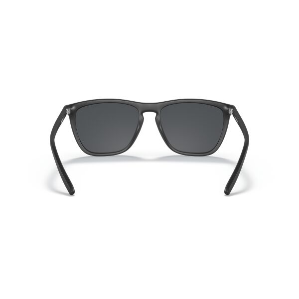 AN 4301 275887 55 Arnette FRY Güneş Gözlüğü