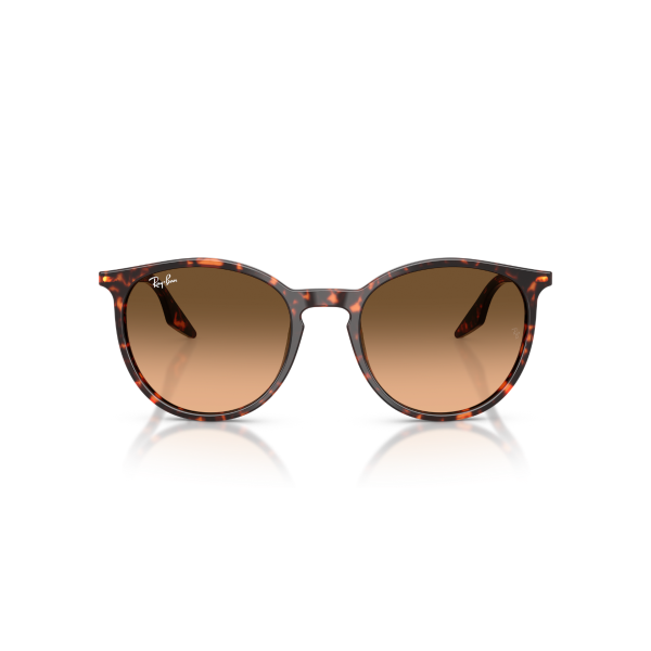 RB 2204 14293B 51 Ray-Ban Güneş Gözlüğü