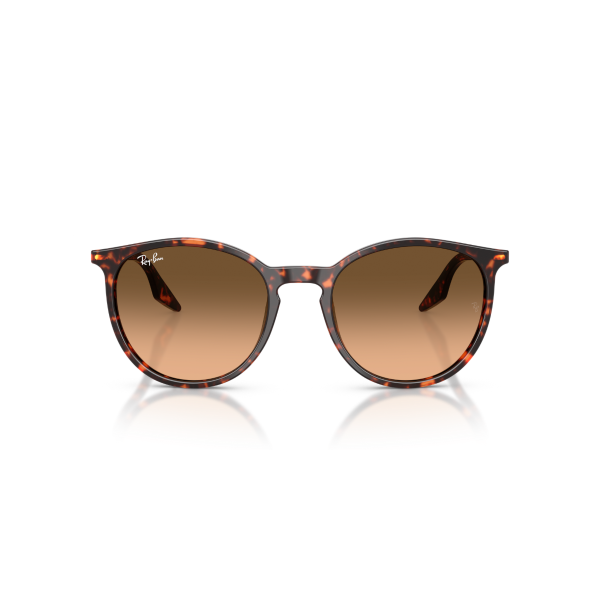 RB 2204 14293B 51 Ray-Ban Güneş Gözlüğü