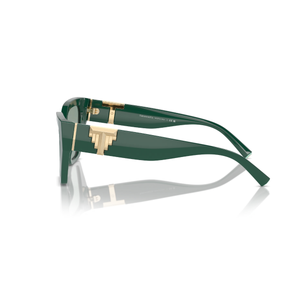 TF 4218 840882 55 Tiffany & Co. Güneş Gözlüğü