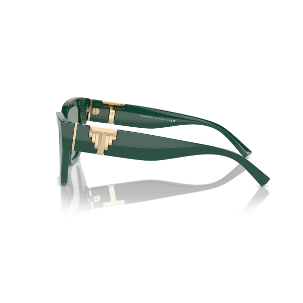 TF 4218 840882 55 Tiffany & Co. Güneş Gözlüğü