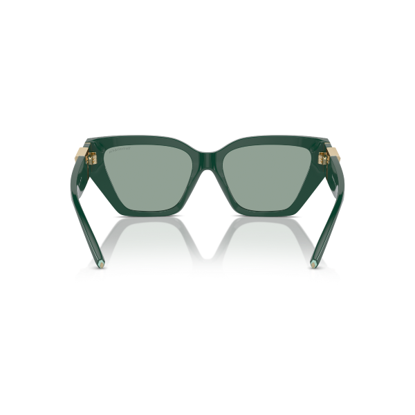 TF 4218 840882 55 Tiffany & Co. Güneş Gözlüğü