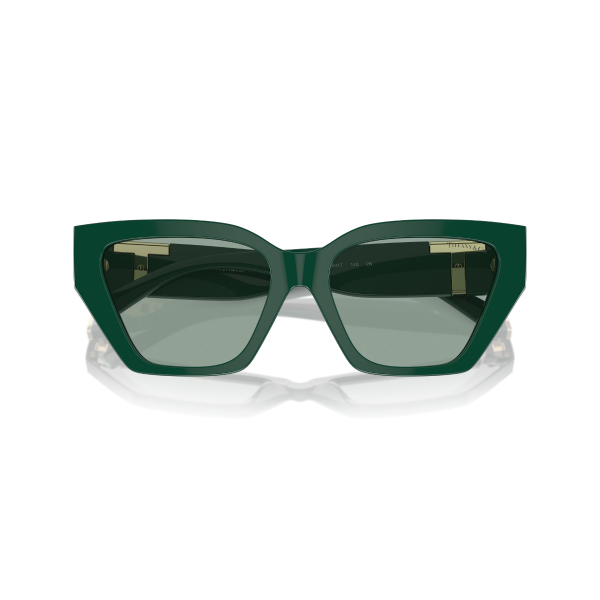 TF 4218 840882 55 Tiffany & Co. Güneş Gözlüğü