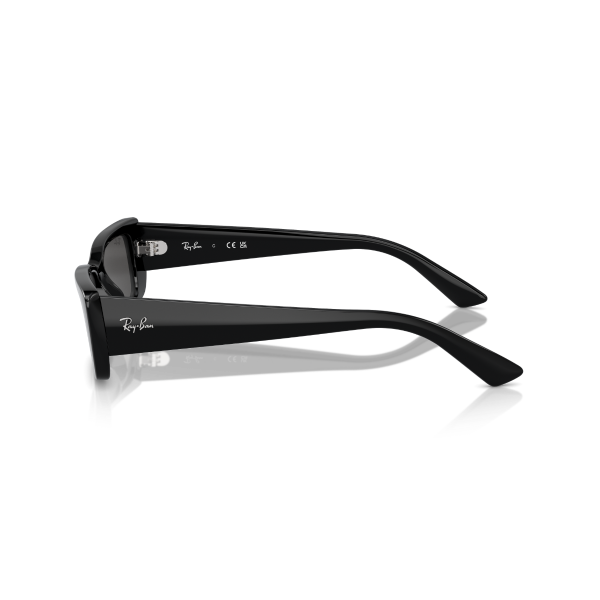 RB 4425 667787 54 Ray-Ban TERU Güneş Gözlüğü