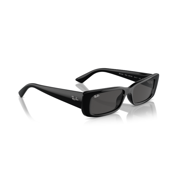 RB 4425 667787 54 Ray-Ban TERU Güneş Gözlüğü