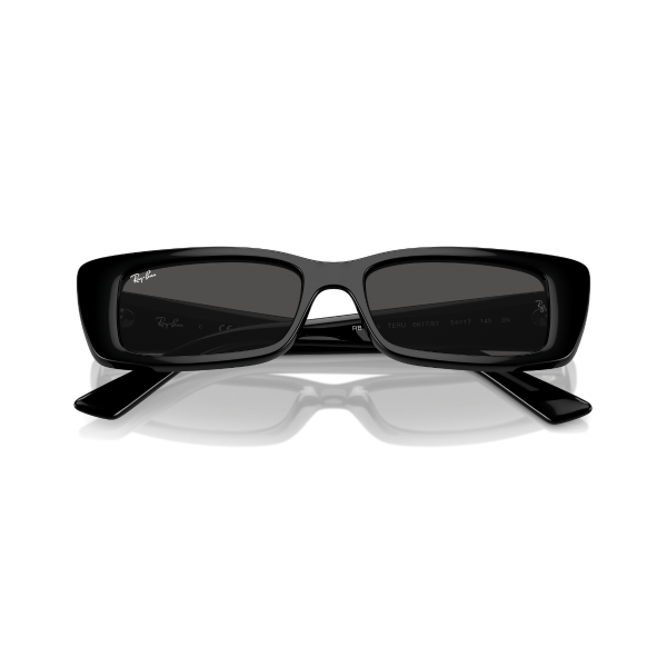 RB 4425 667787 54 Ray-Ban TERU Güneş Gözlüğü