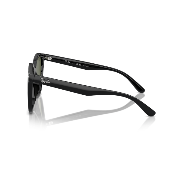 RB 4423D 601/9A 66 Ray-Ban Polarize Güneş Gözlüğü