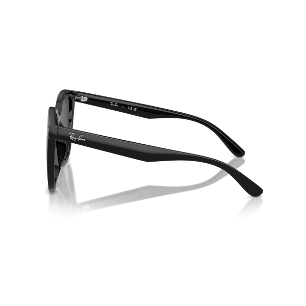 RB 4423D 601/87 66 Ray-Ban Güneş Gözlüğü