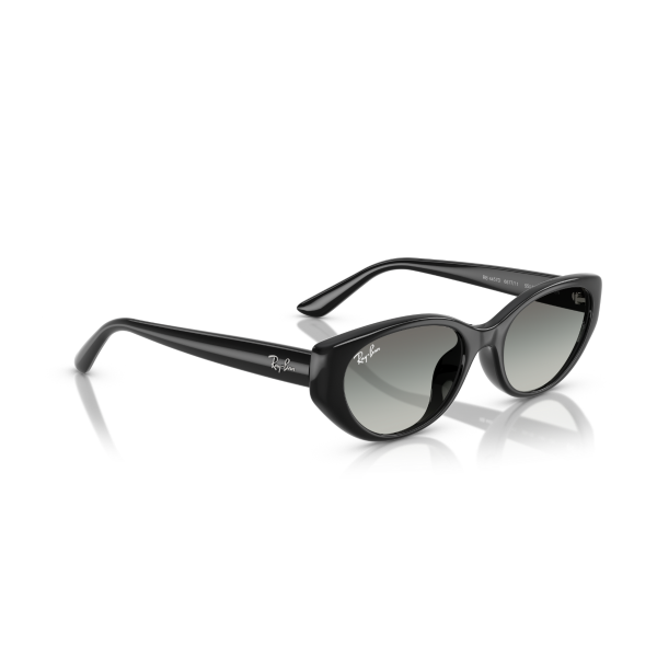 RB 4457D 667711 55 Ray-Ban Güneş Gözlüğü