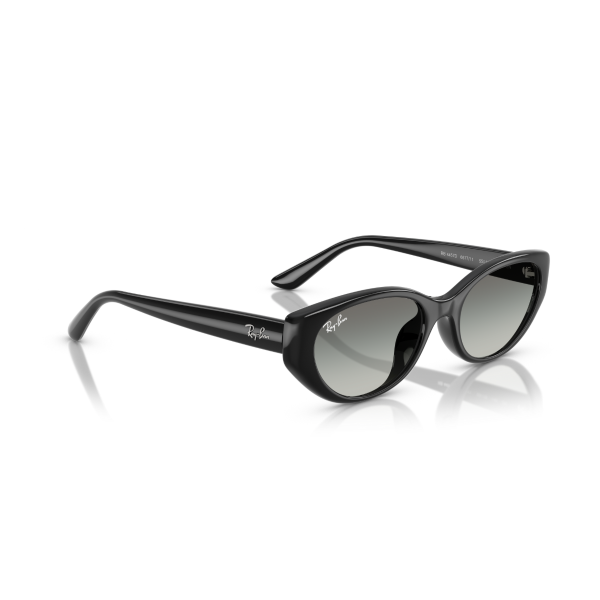 RB 4457D 667711 55 Ray-Ban Güneş Gözlüğü