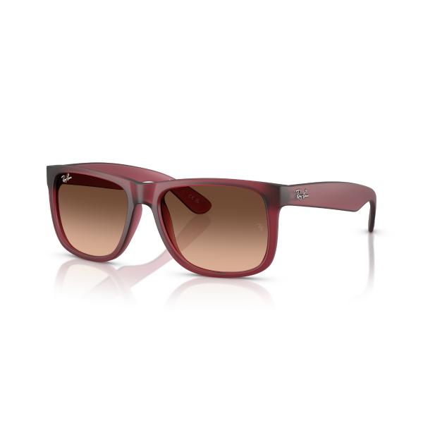 RB 4165 6815A5 55 Ray-Ban JUSTIN Güneş Gözlüğü