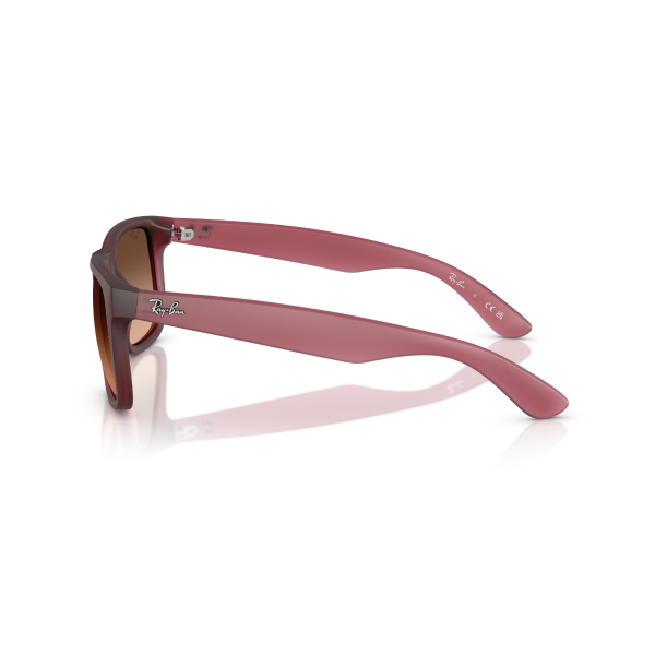 RB 4165 6815A5 55 Ray-Ban JUSTIN Güneş Gözlüğü