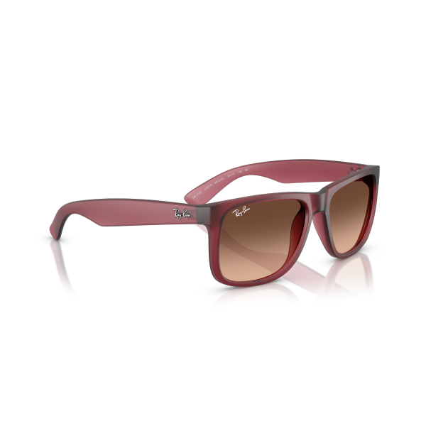 RB 4165 6815A5 55 Ray-Ban JUSTIN Güneş Gözlüğü