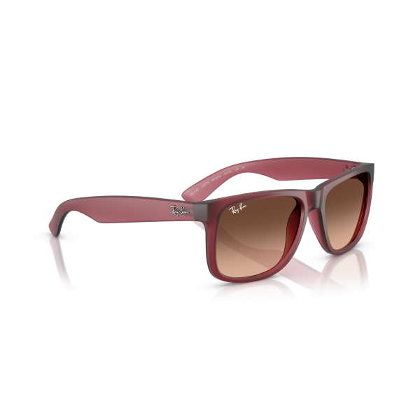 RB 4165 6815A5 55 Ray-Ban JUSTIN Güneş Gözlüğü